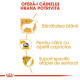 Royal Canin Yorkshire Terrier Adult – Hrană Uscată pentru Câini Adulți din Rasa Yorkshire Terrier – 500 g